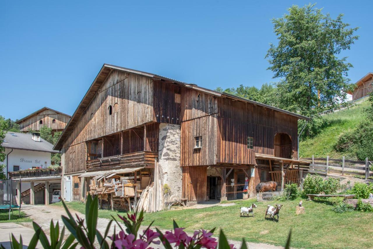 Ferienbauernhof Wieserhof Fiè Extérieur photo
